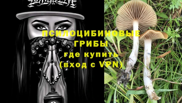 шишки Кизел