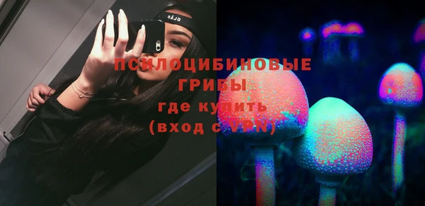 шишки Кизел