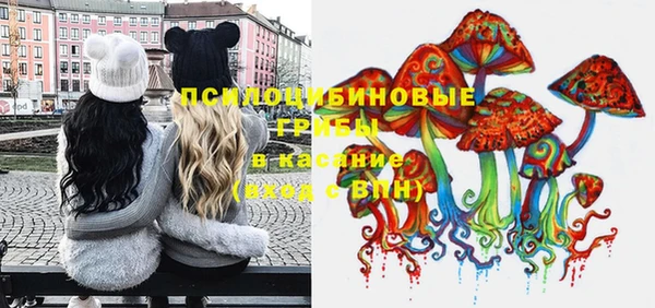 тгк Пересвет