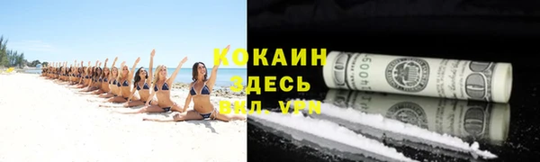 тгк Пересвет