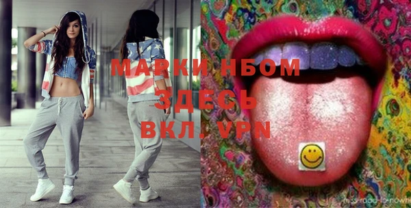 тгк Пересвет