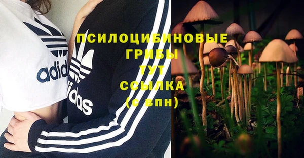 тгк Пересвет