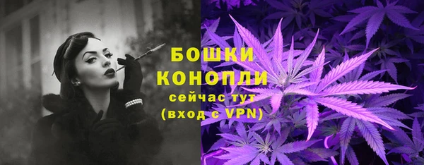 тгк Пересвет
